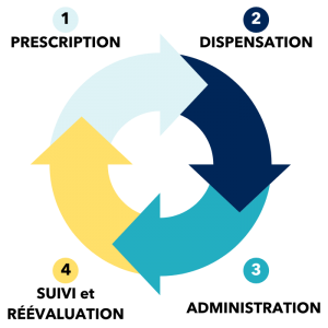 Les 4 étapes du circuit du médicament