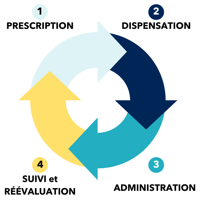 Les 4 étapes du circuit du médicament